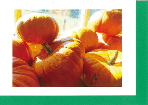 MMN04 Pumpkin (Pack of 4 cards with envelopes)