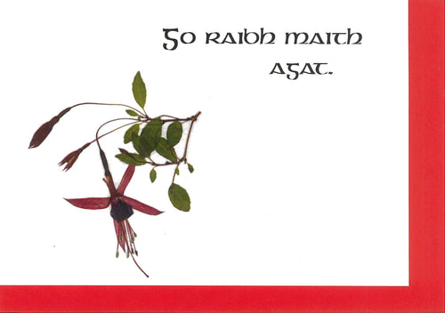 RFI80C Go raibh maith agat / Thank You (Paicéad 4 Chárta)