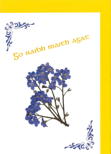 RFI95 Go Raibh maith agat / Thank You (Paicéad 4 Chárta)