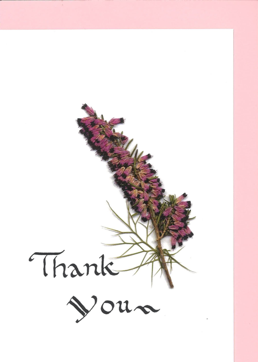 RP16A Thank You - Heather (Pack of 4)