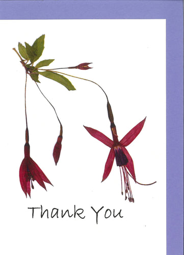 RP16B Thank You - Fuchsia (Pack of 4)