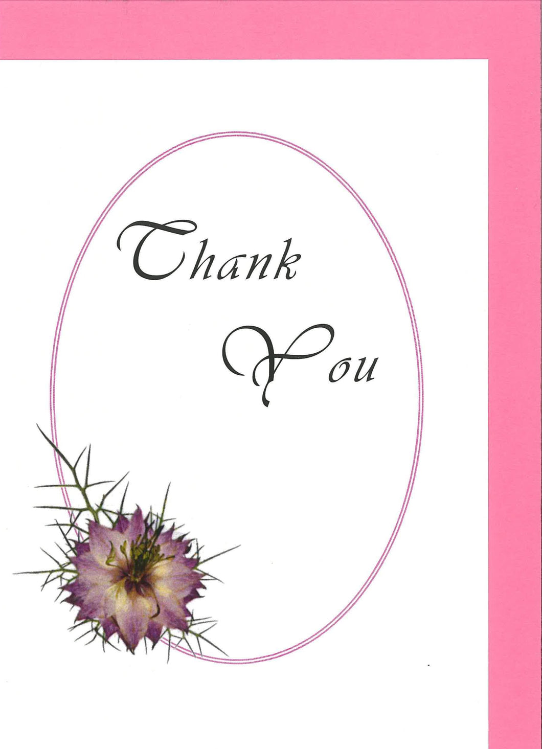 RP16E Thank You - Nigella (Pack of 4)