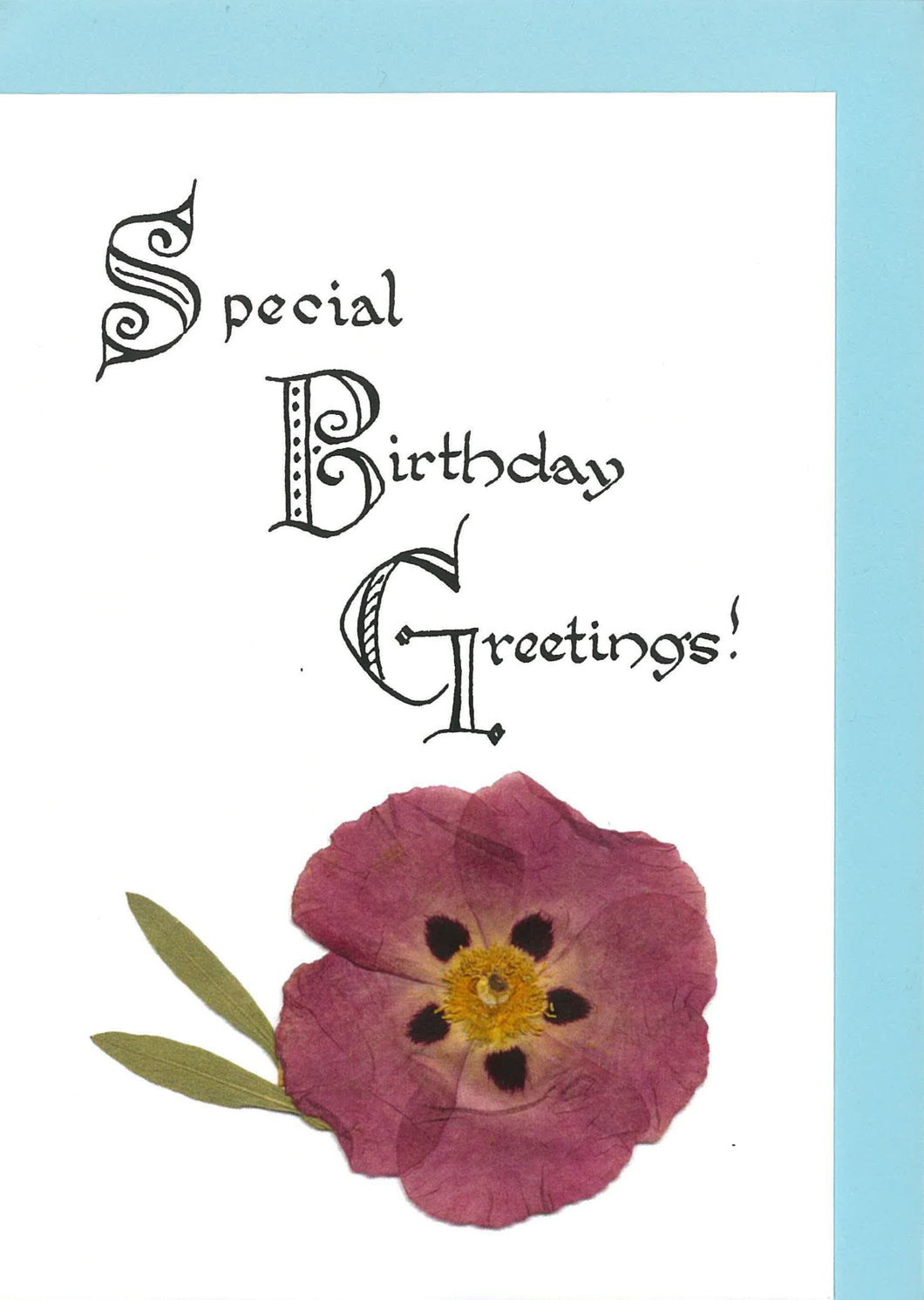 RP38 Special Birthday Greetings -Cistus (Pack of 4)