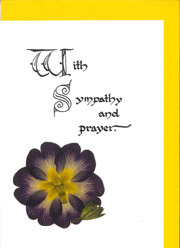 RP4E With Sympathy and Prayer (Primula)