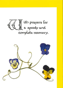 RP55 Speedy recovery (Viola)