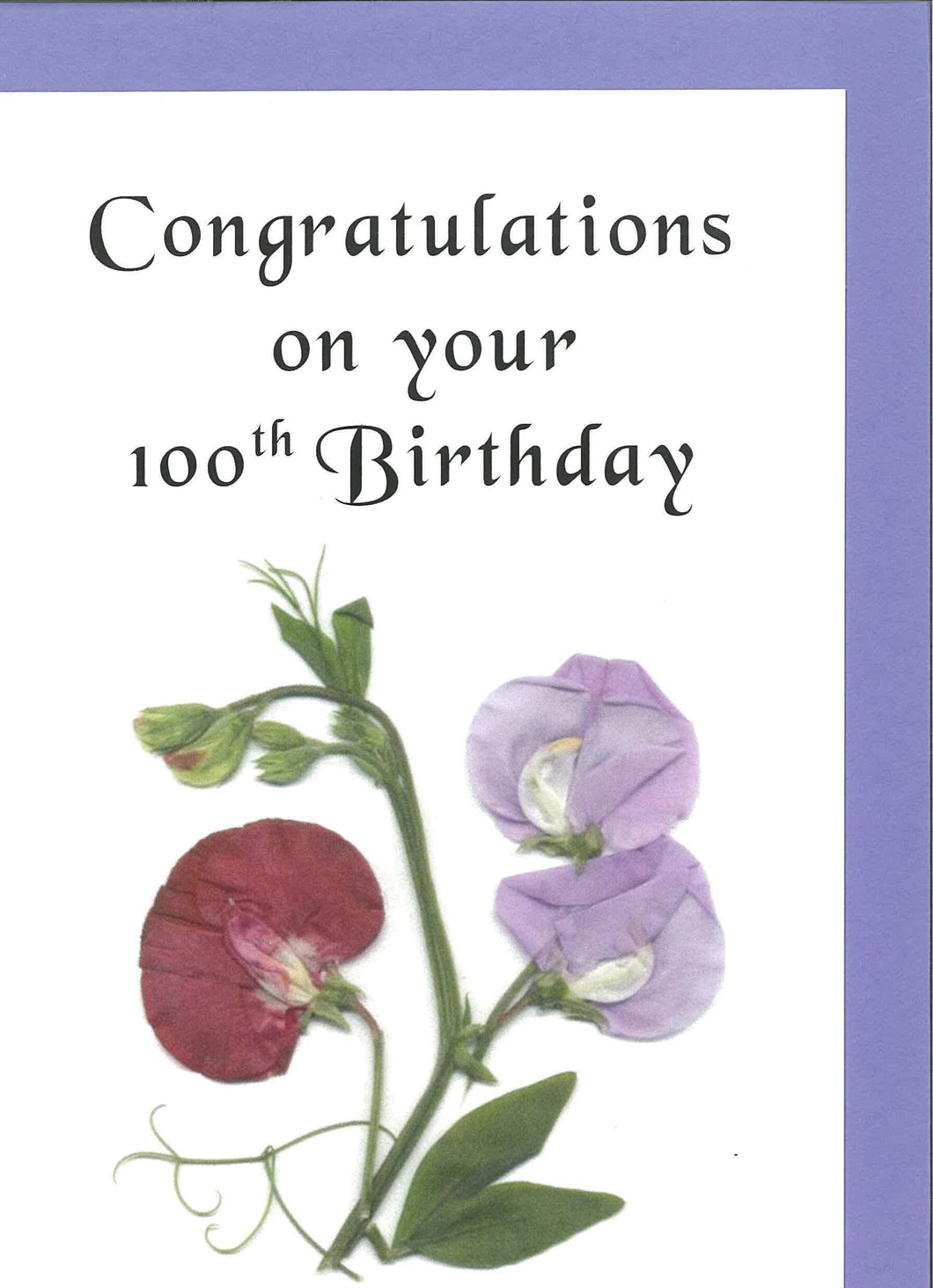 RPZero100 Birthday card 100th