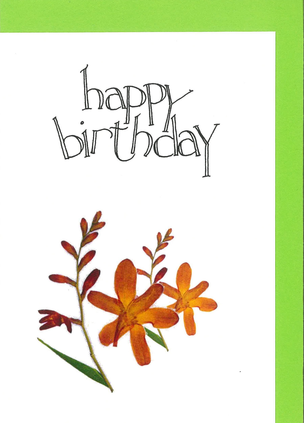 RP70a Happy Birthday - Montbretia (Pack of 4)