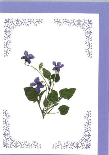 RPB11 Violet  - blank inside (Pack of 4)
