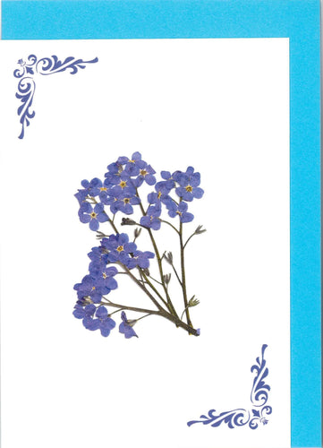 RPB12 Forget-me-not - blank inside (Pack of 4)