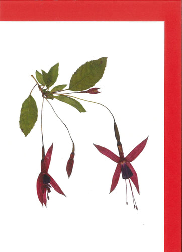 RPB2 Fuchsia -  blank inside (Pack of 4)