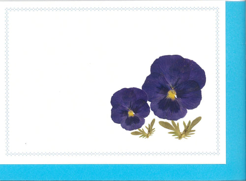 RPB3B Blue Pansies - blank inside  (Pack of 4)