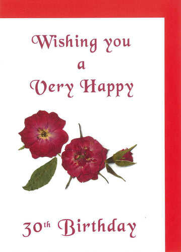 RPZero30  Birthday Card 30th