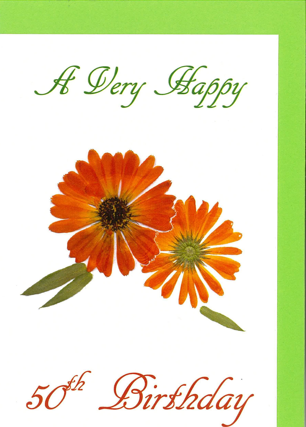 RPZero50 Birthday Card 50th