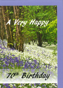 RPZero70 Birthday Card 70th