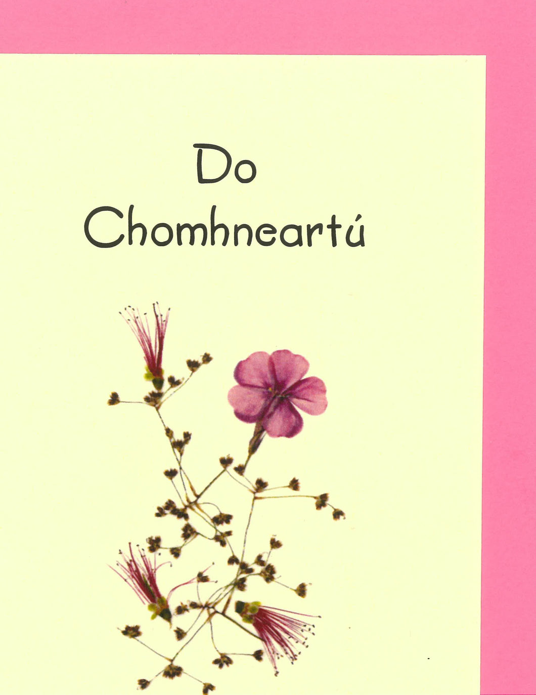 RFI94 Do Chomhneartú