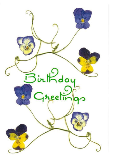 RP70d Birthday Greetings - Violas (Pack of 4)