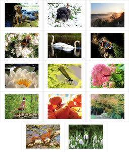 Photo Card Series - Calendar Pack
