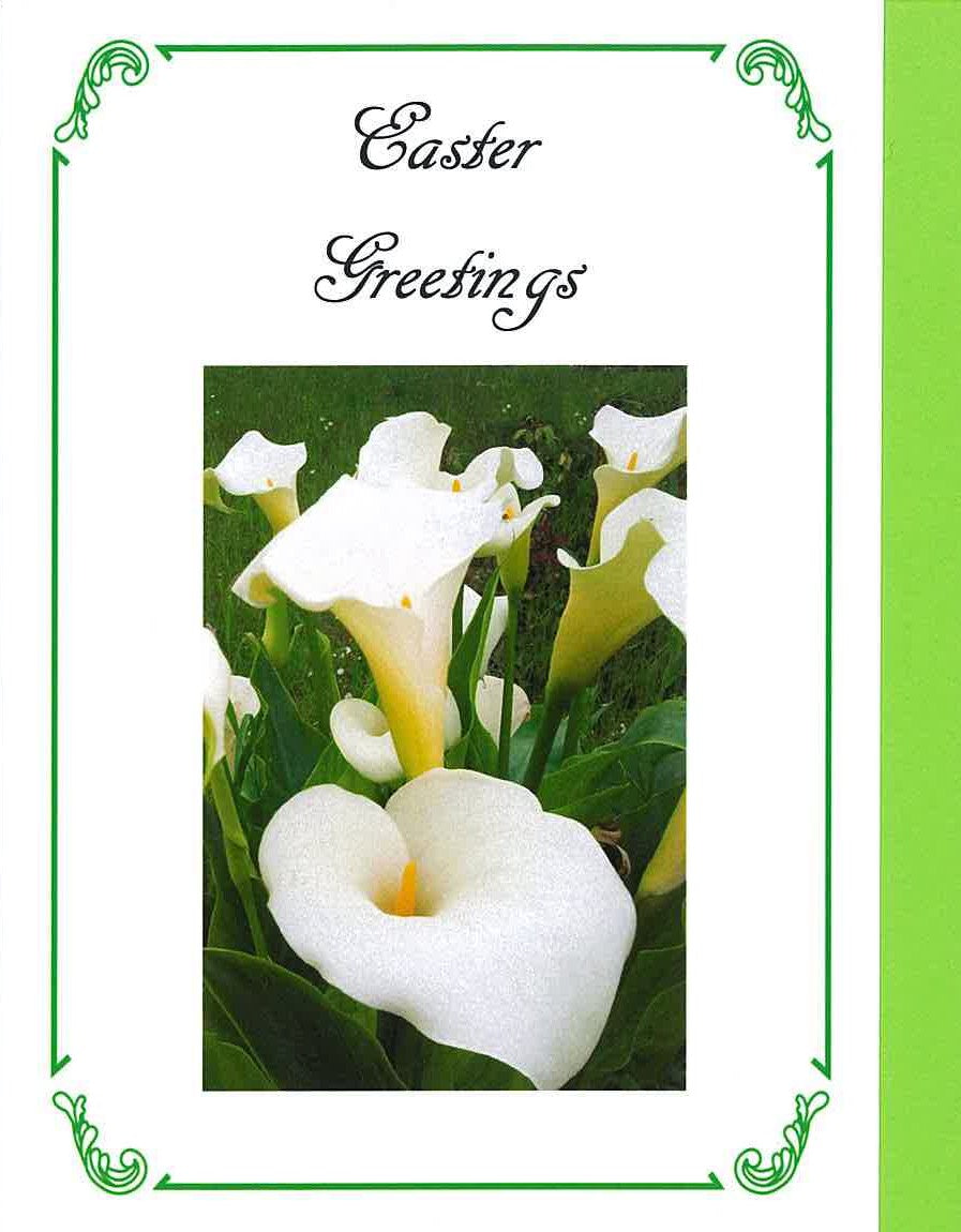 RPE8L Easter Greetings Card (Pack of 4)