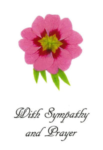RPD 5 Sympathy Mass Card (Primula)