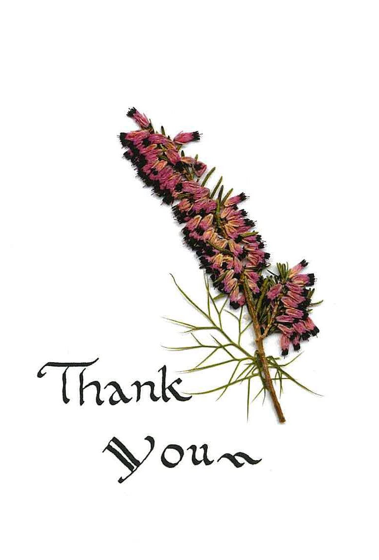 RP16a Thank You - Heather (Pack of 4)