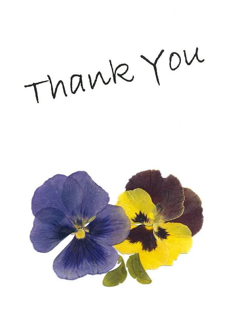 RP16c Thank You - Pansies (Pack of 4)