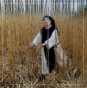 SE 03 Single card - Sr Lily checks the miscanthus