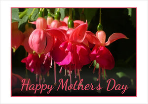 SPOC 02 Happy Mother's Day C5