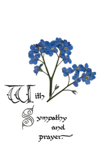 RP 4 With Sympathy and Prayer (Forget-me-not)